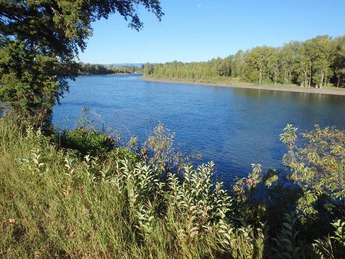 It is a bright, clear, but cool day along the Flathead River.